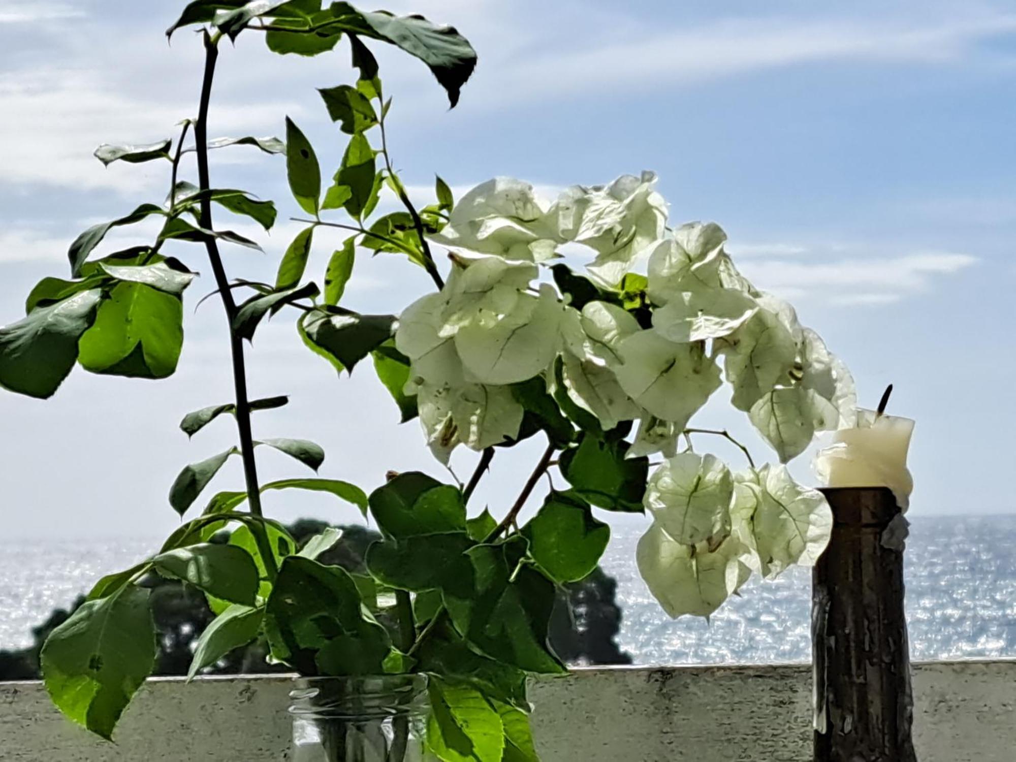 Friends'House - Azores ラゴア エクステリア 写真