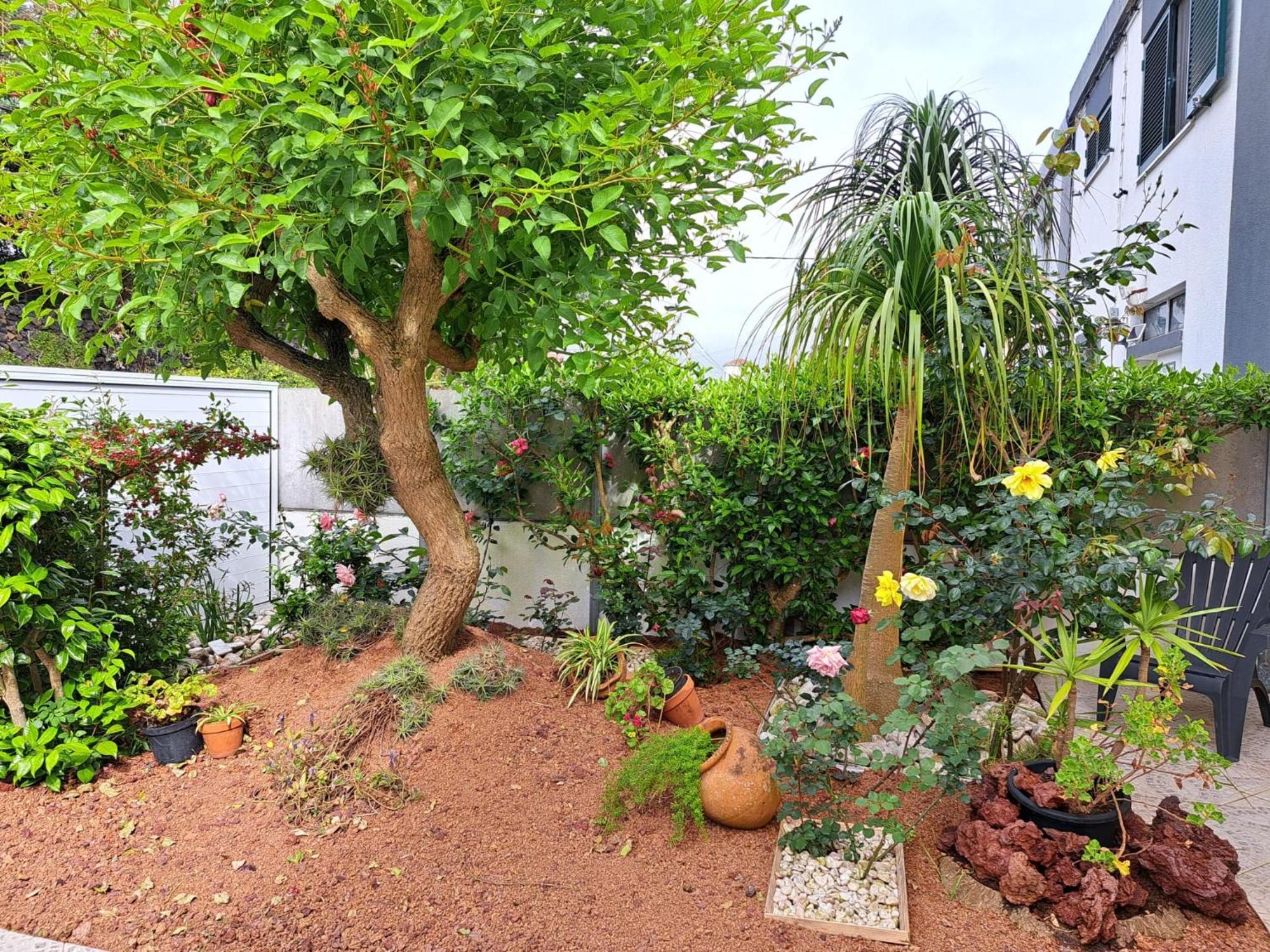 Friends'House - Azores ラゴア エクステリア 写真