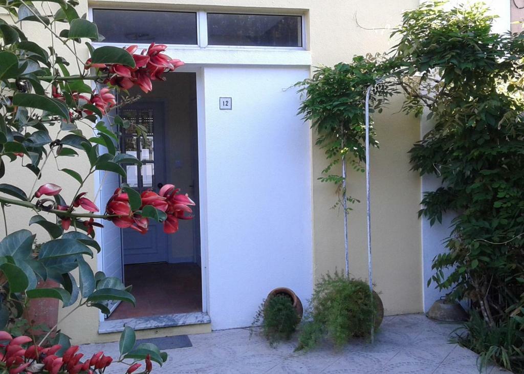 Friends'House - Azores ラゴア エクステリア 写真